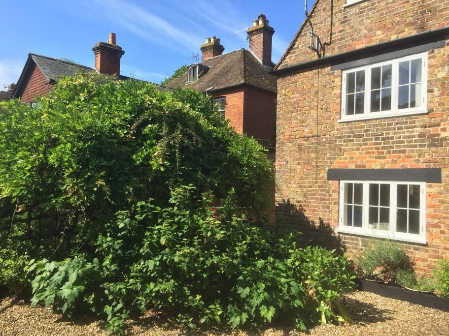 Beautiful 500 Year Old Listed Kentish Cottage Wingham Zewnętrze zdjęcie